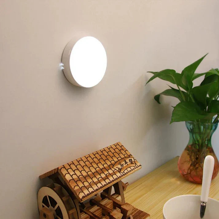 Motion Sensor Light