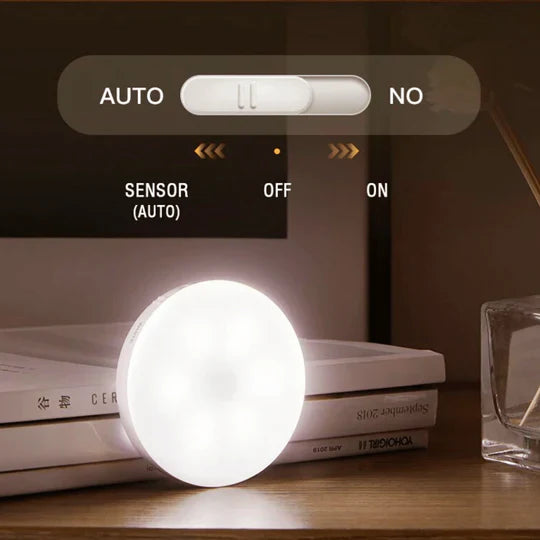 Motion Sensor Light